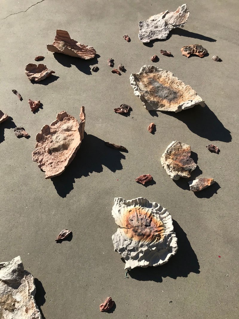 collection of pieces